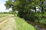 Twickelervaart
